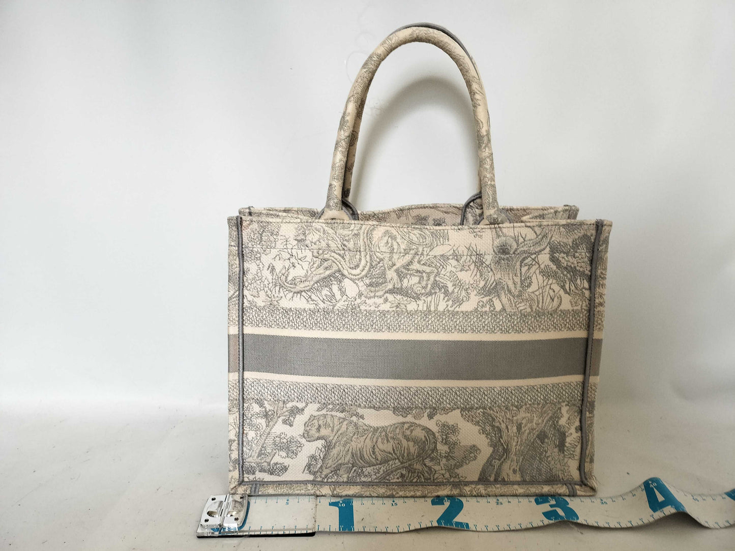 Dior Christian Dior Book Tote Medium Tote Bag