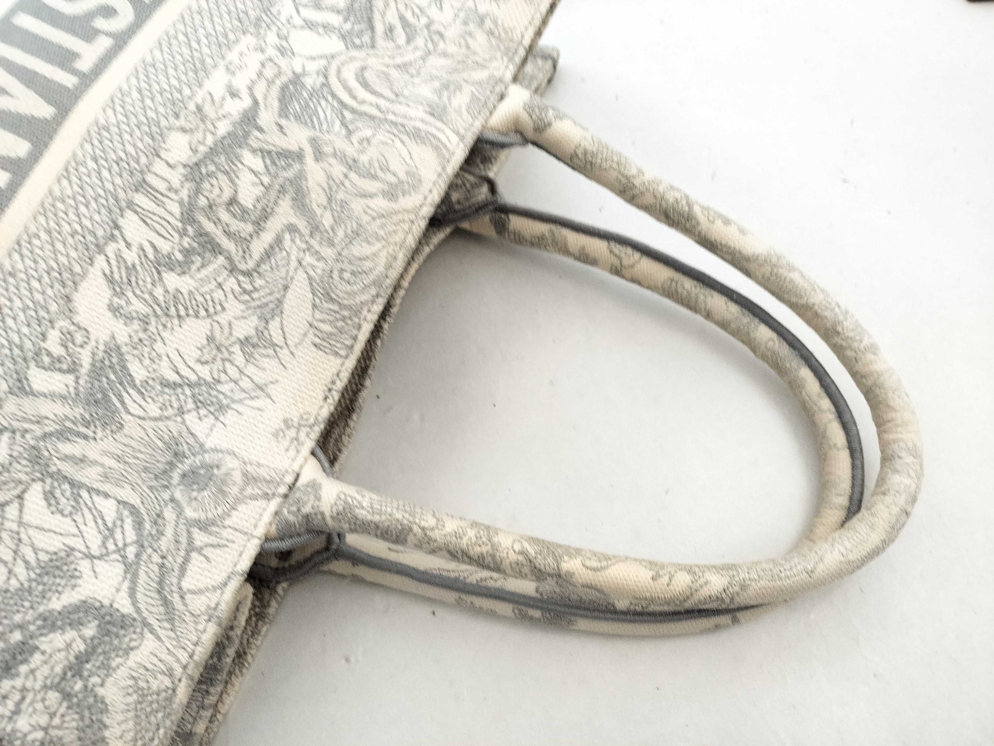 Dior Christian Dior Book Tote Medium Tote Bag