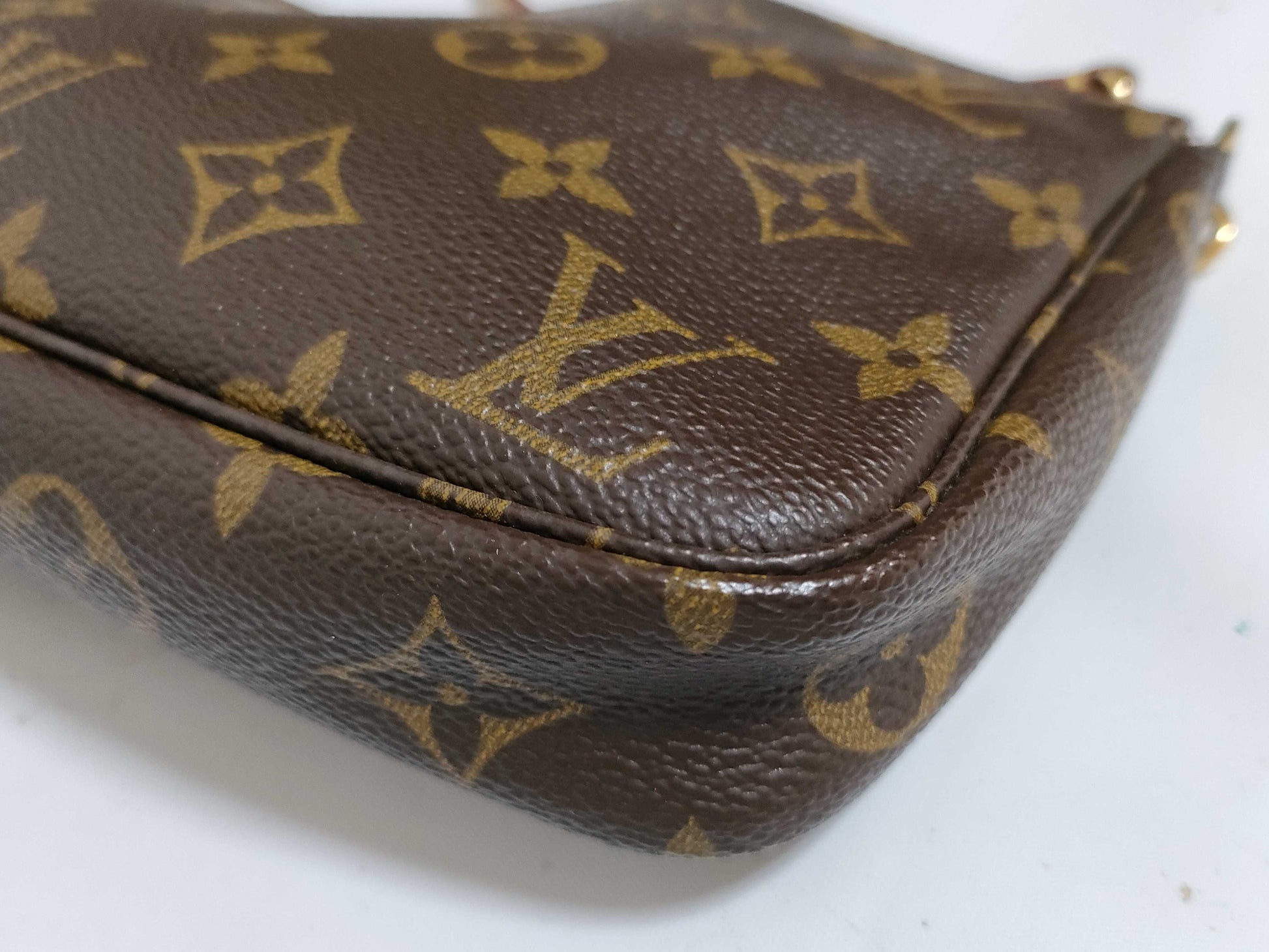LOUIS VUITTON Monogram LV Accessory Pouch Handbag