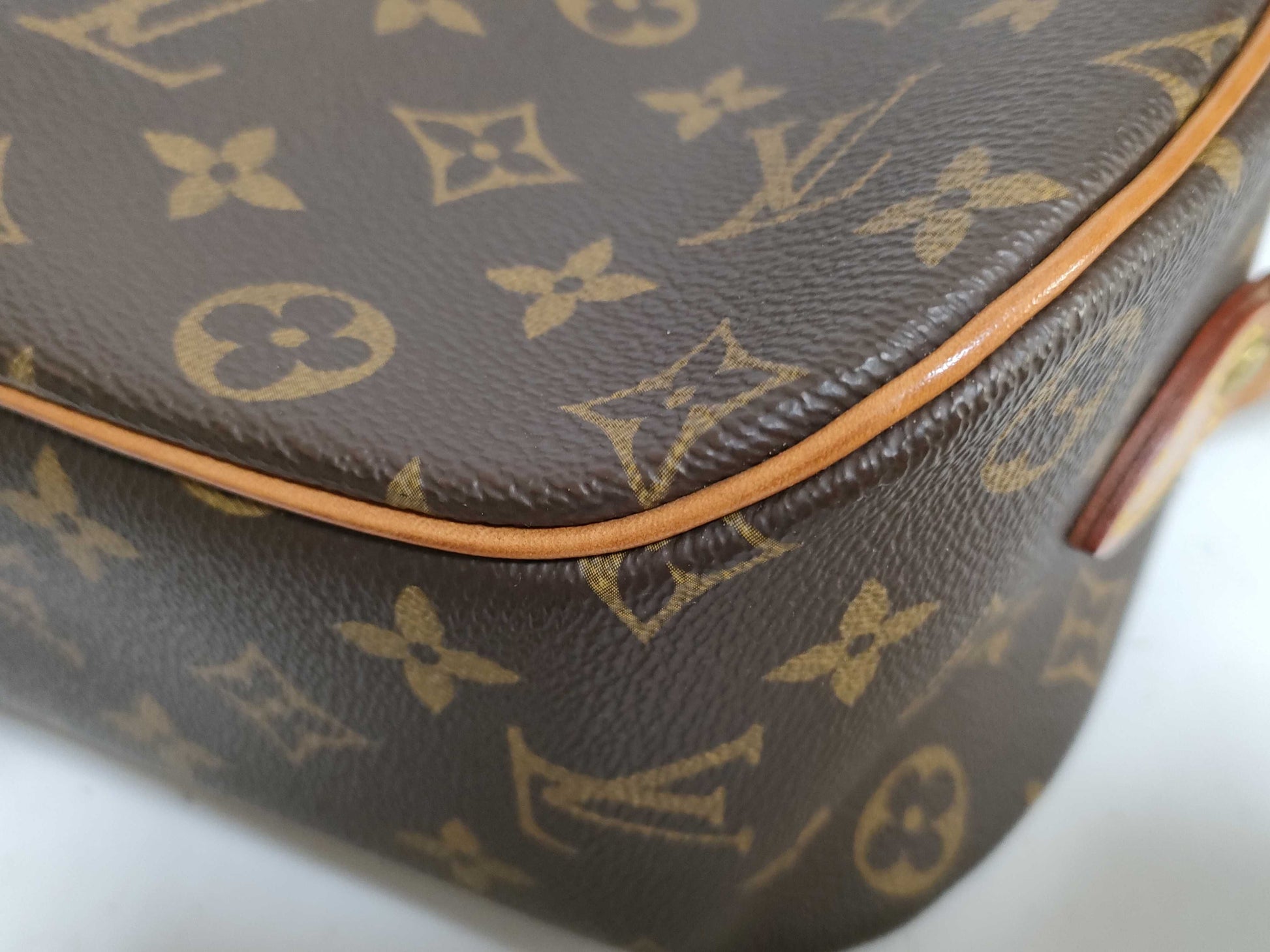 LOUIS VUITTON Monogram LV Blois Shoulder Bag