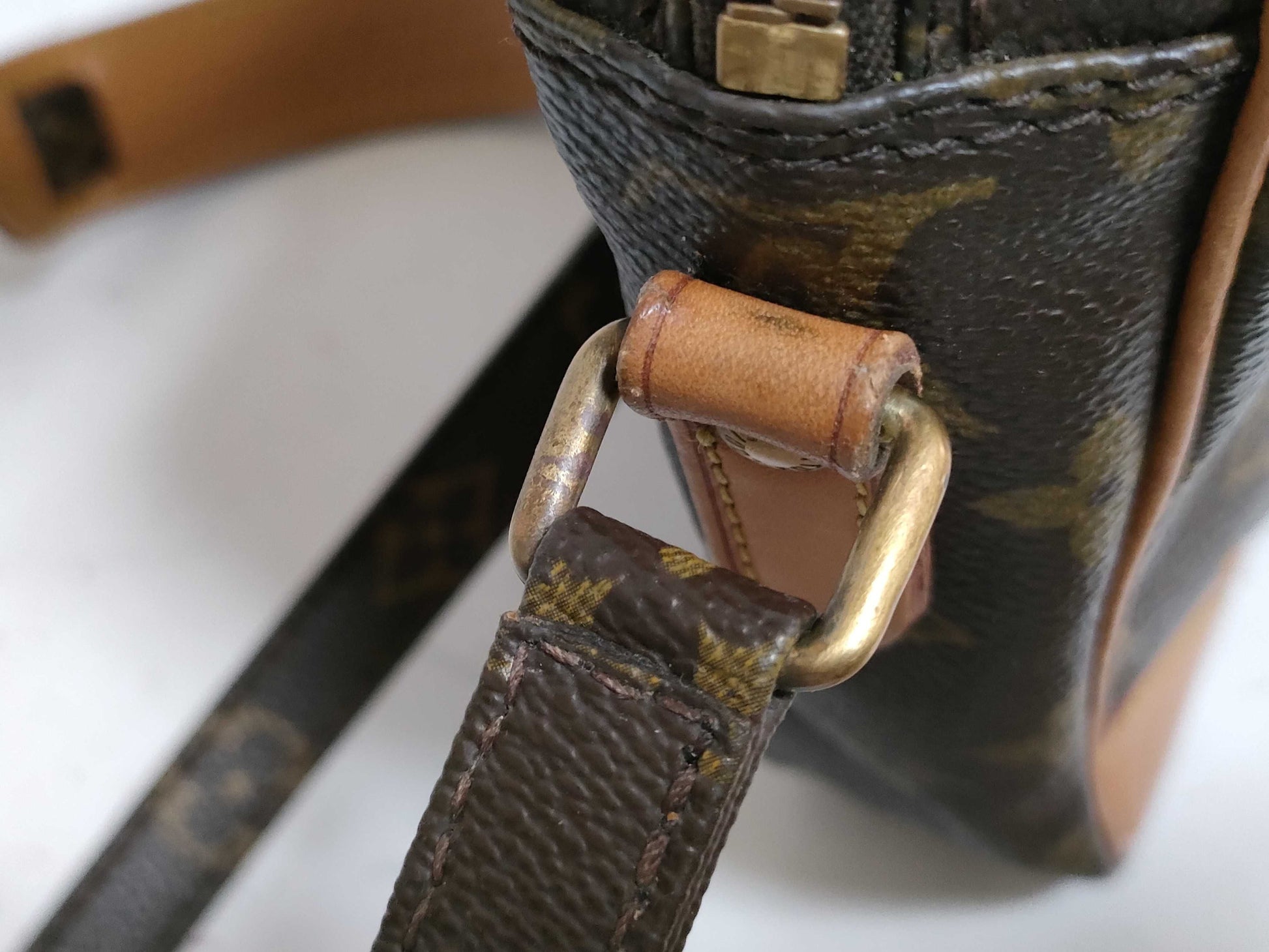 LOUIS VUITTON Monogram LV Danube Shoulder Bag