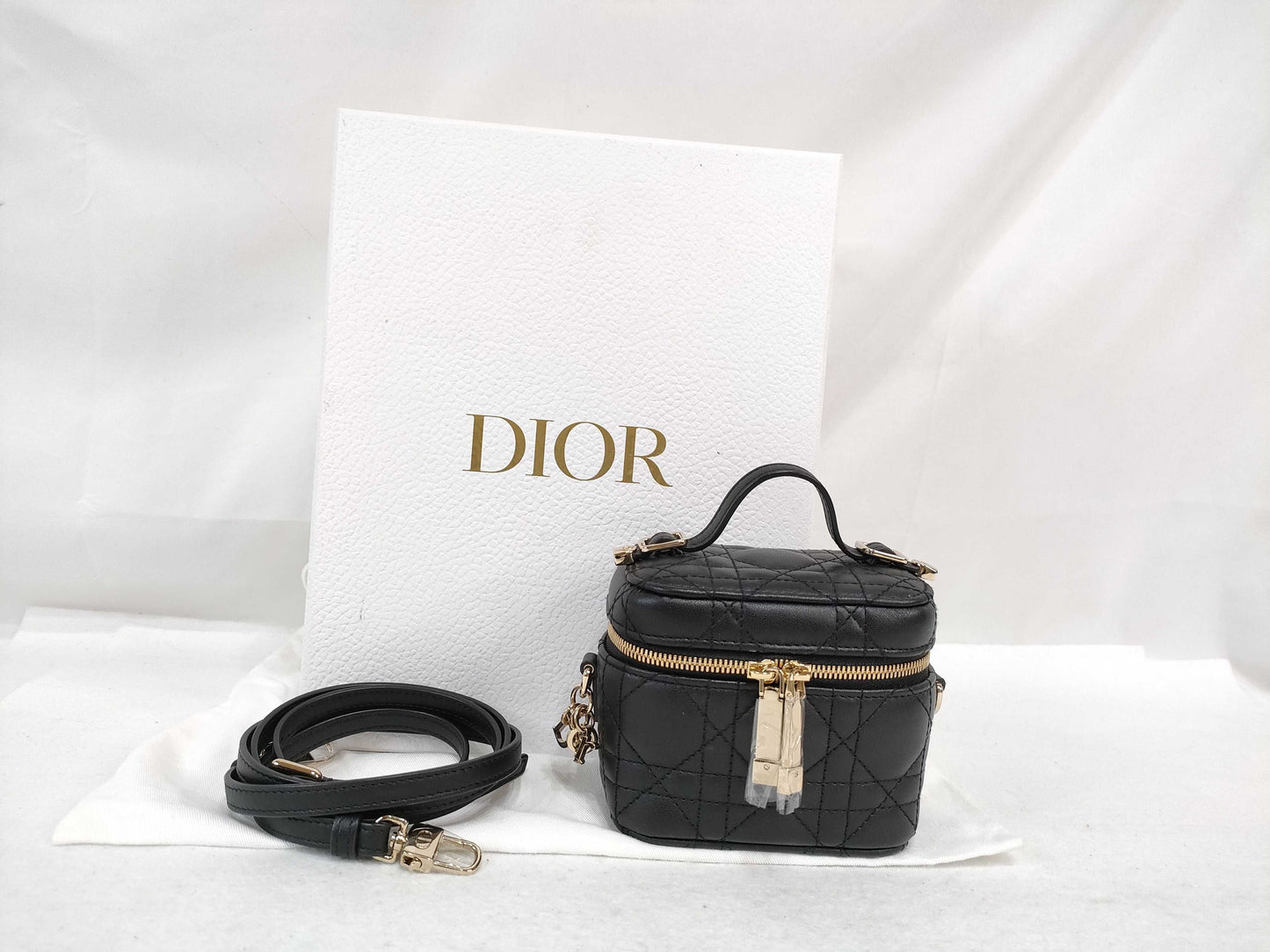 Dior Vanity Vanity Bag
