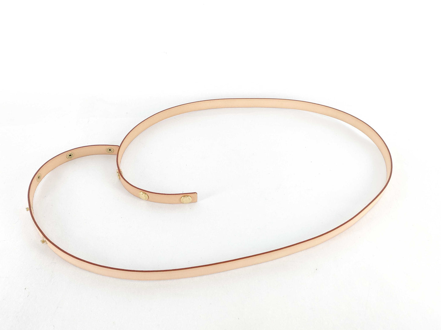 LOUIS VUITTON Monogram Vuitton Florentine Waist Bag