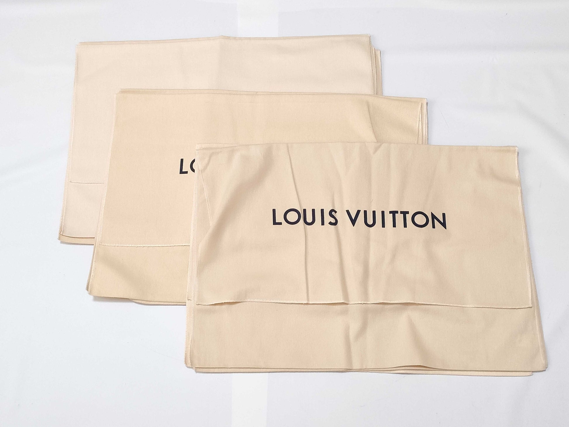 LOUIS VUITTON Vuitton Current storage bag Width approx. 55cm Back size 12 pieces Other accessories