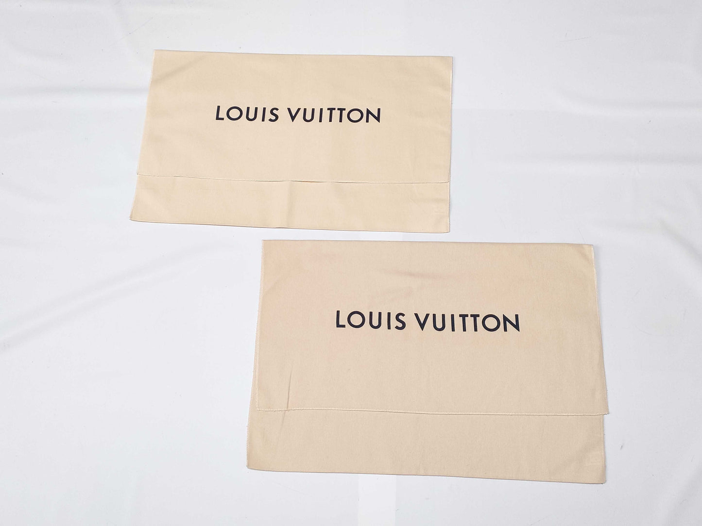 LOUIS VUITTON Vuitton Current storage bag Width approx. 55cm Back size 12 pieces Other accessories