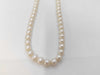 TASAKI Pearl Diameter Approx. 5.9-6.4mm SV 24.1g Brooch 