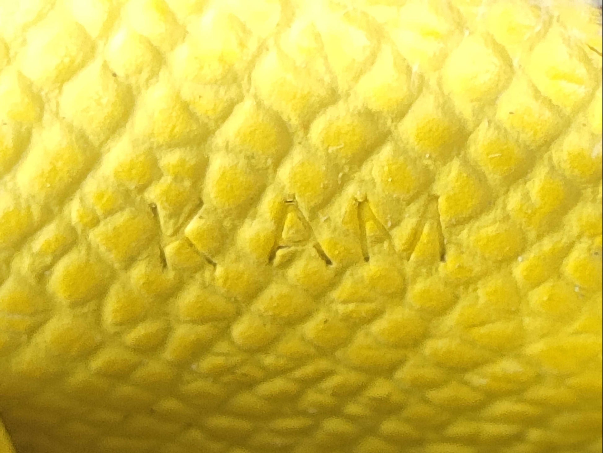 HERMES Poisson Charm Epsom x Anjou Milo Jaune Naples x Clé x Vert Cricket K Stamp Charm