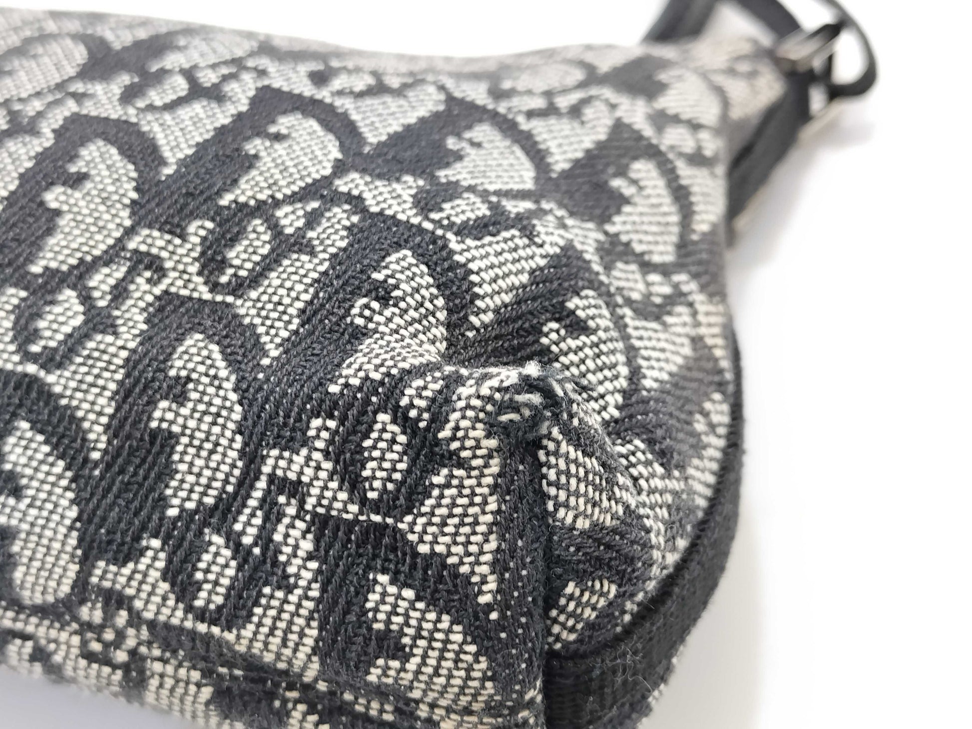 Dior Trotter Dior Handbag Accessory Pouch Trotter Shoulder Bag