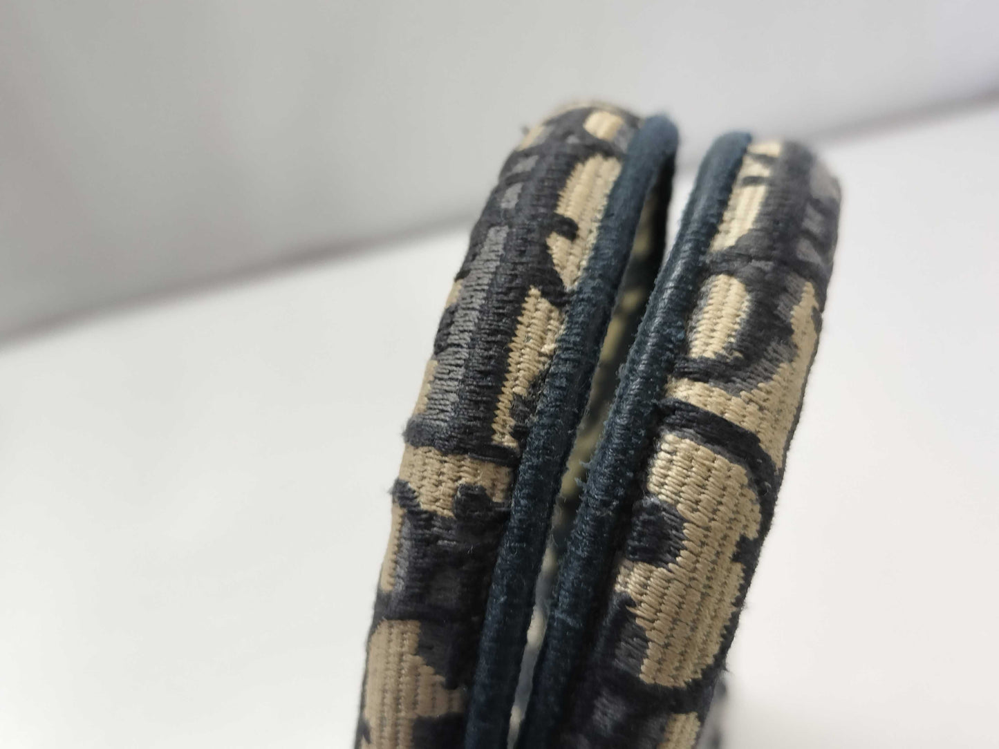 Dior Trotter Dior Book Tote Tote Bag