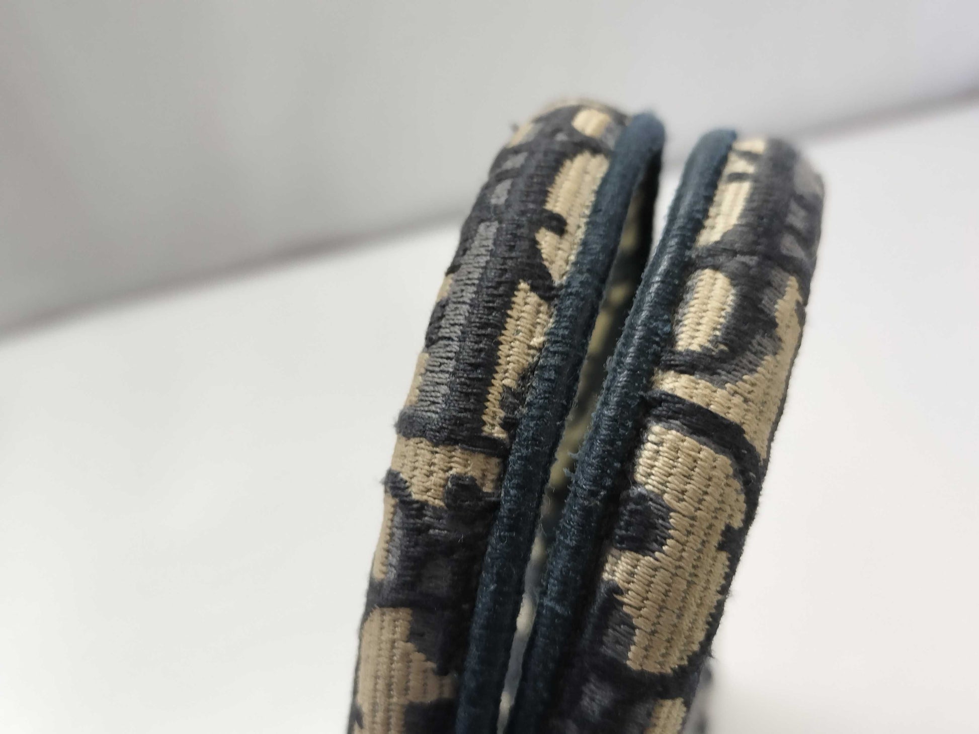 Dior Trotter Dior Book Tote Tote Bag