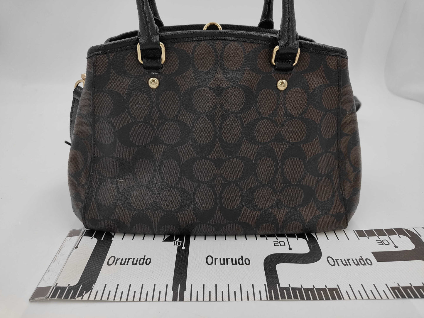 COACH COACH Signature 2-Way Bag Handbag