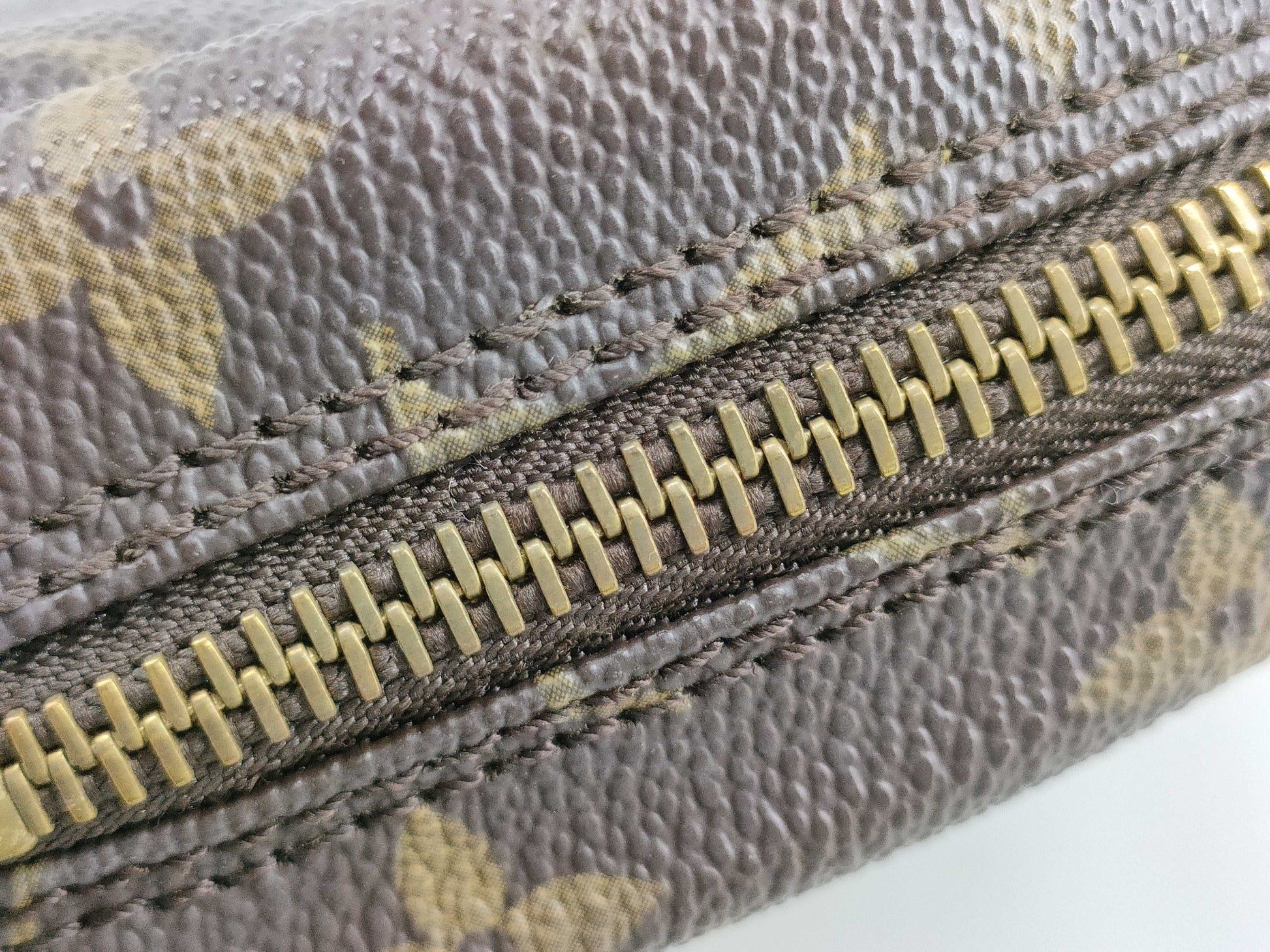 LOUIS VUITTON Monogram True Towel Pouch