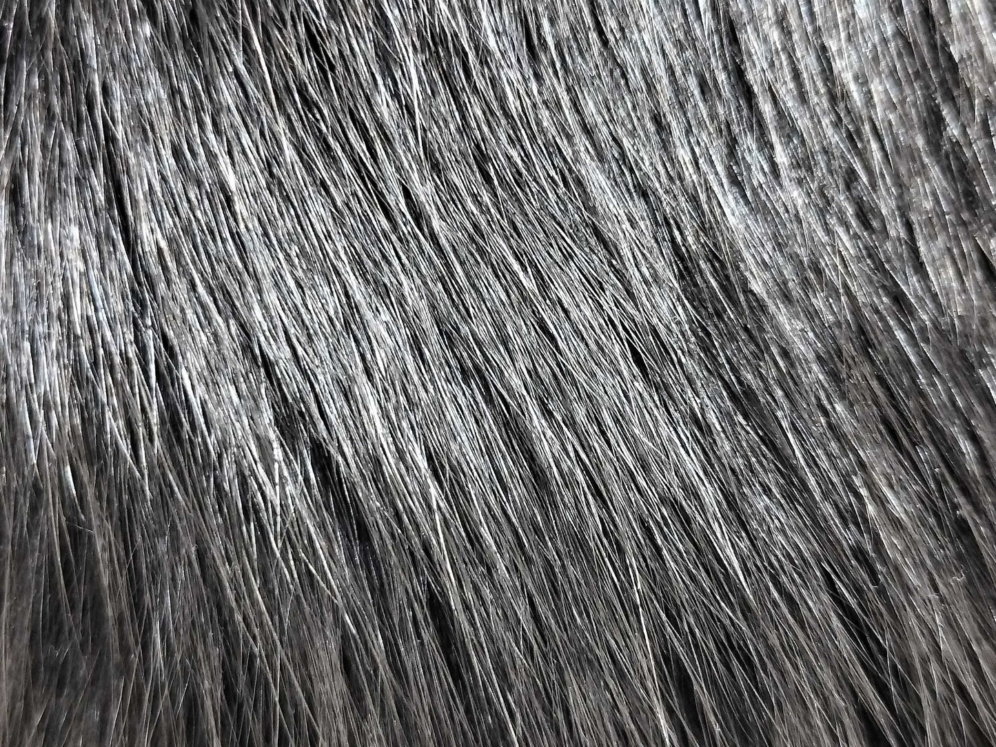 LEONARD LEONARD Leonard Silk Fox Fur Jacket Jacket