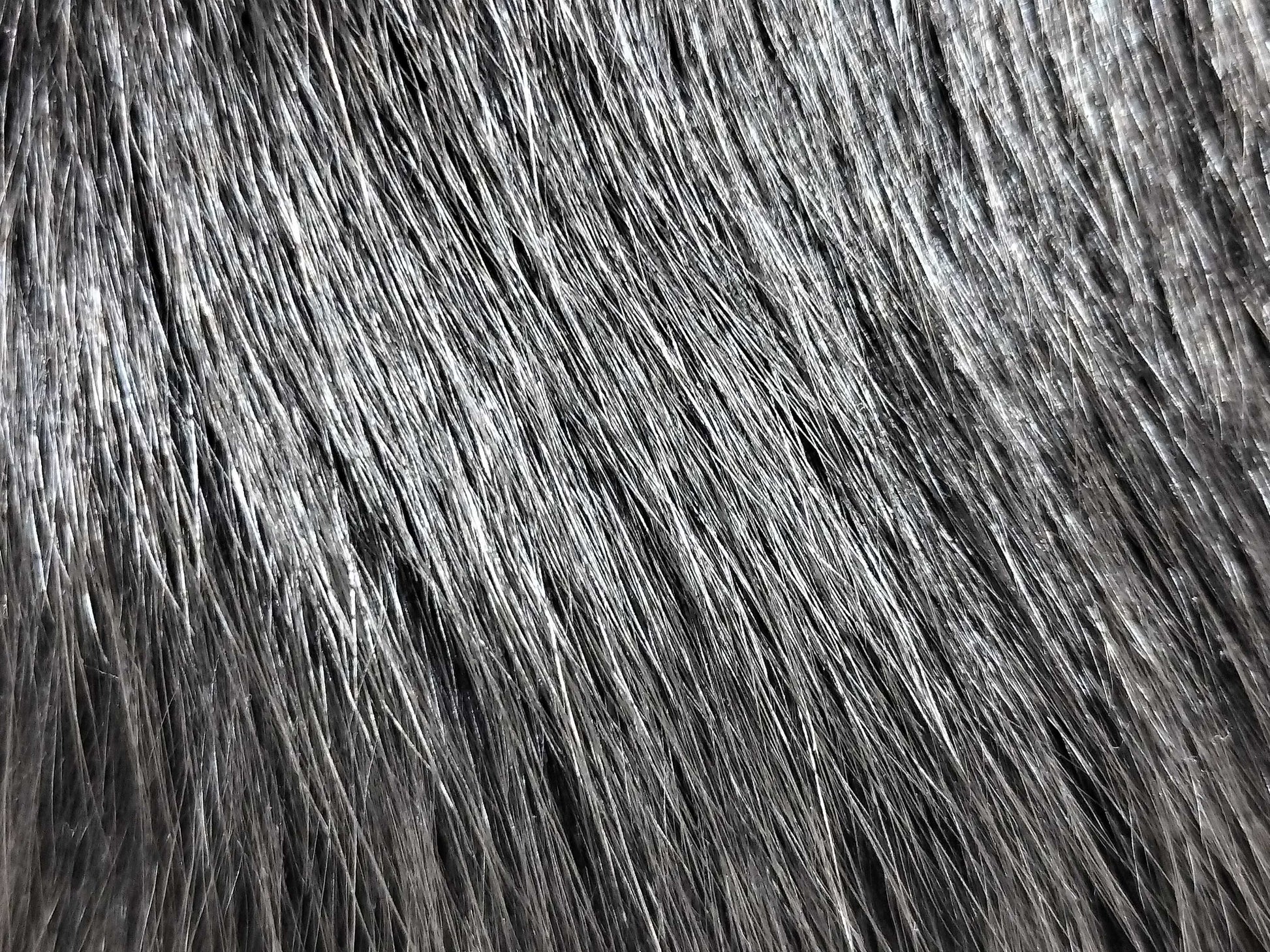 LEONARD LEONARD Leonard Silk Fox Fur Jacket Jacket