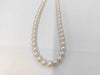 Akoya Pearl Diameter Approx. 7.0-7.5mm SV 32.2g Necklace 