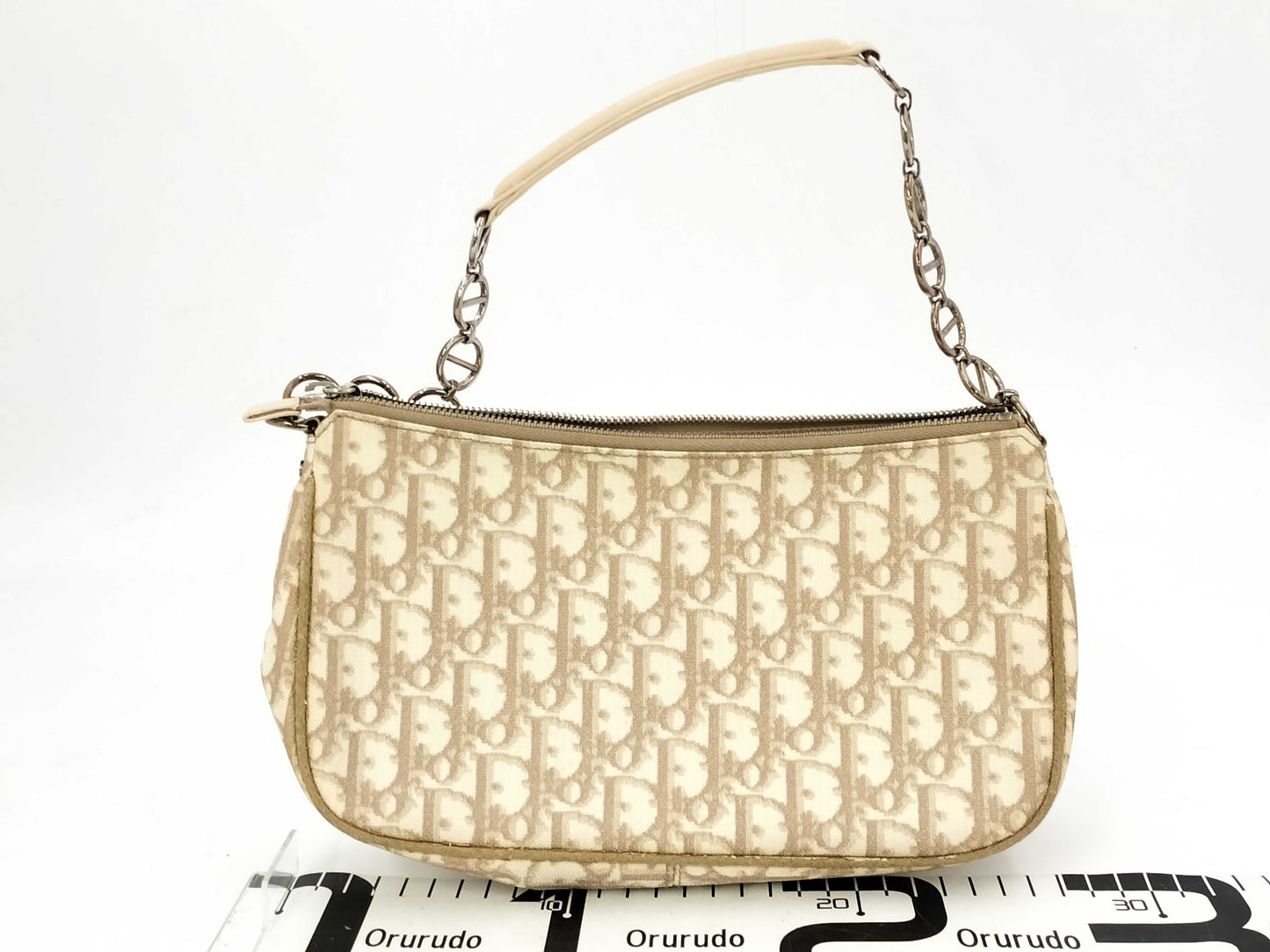 Dior Trotter Romantic Handbag