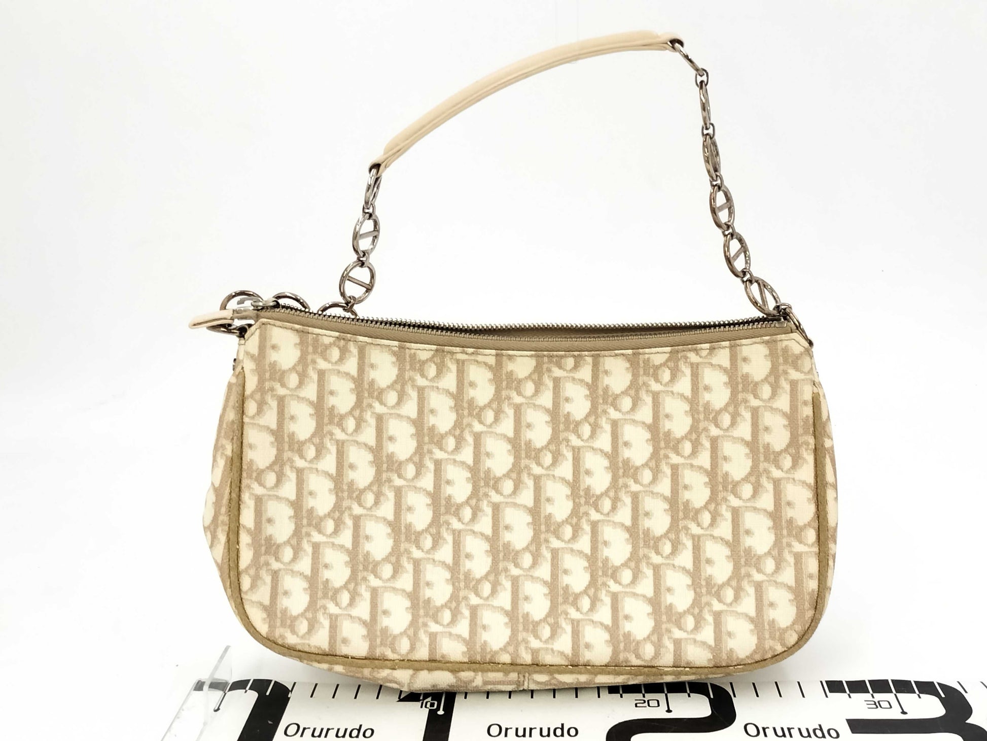 Dior Trotter Romantic Handbag