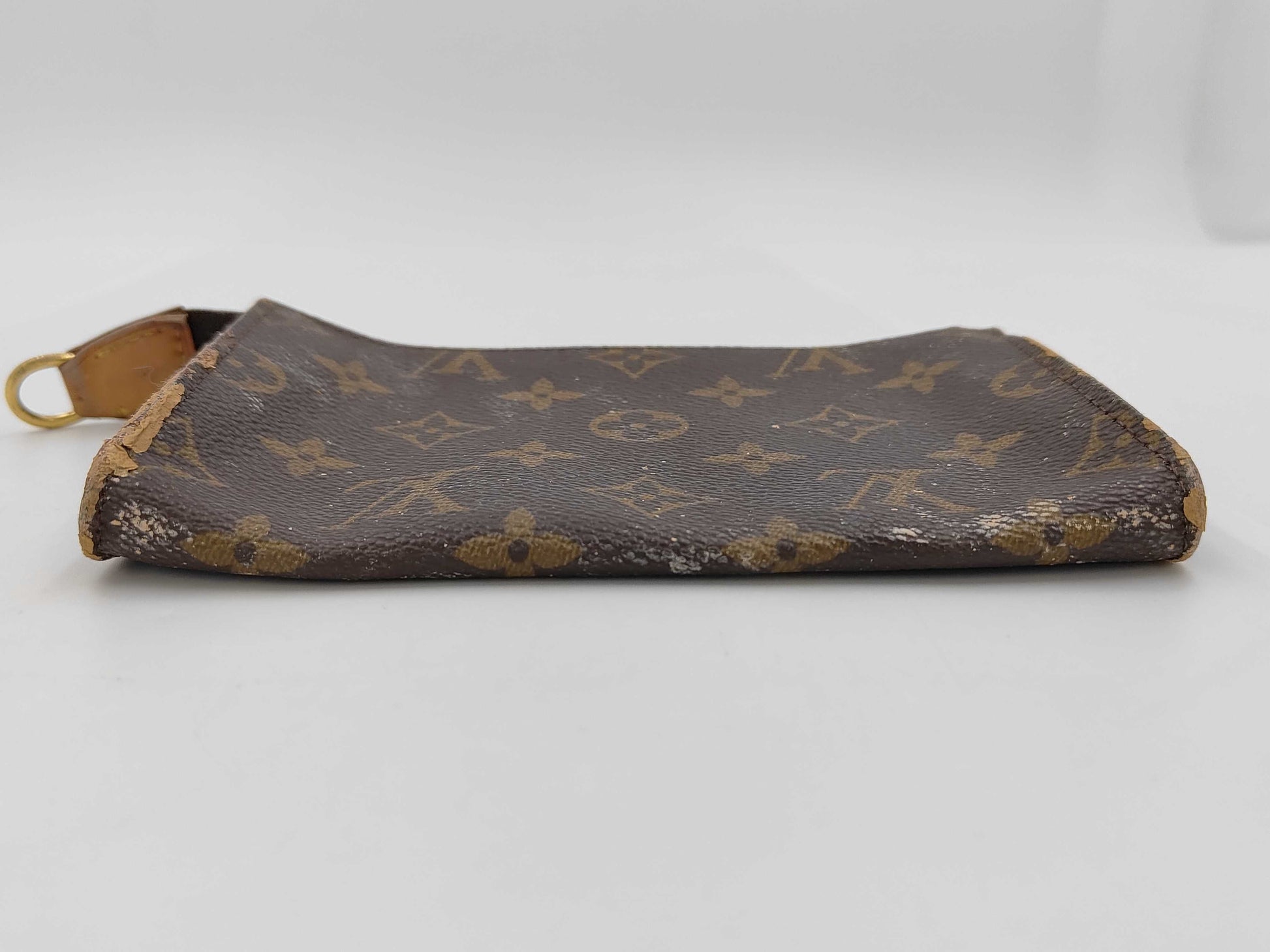 LOUIS VUITTON Louis Vuitton Monogram Pouch Pouch