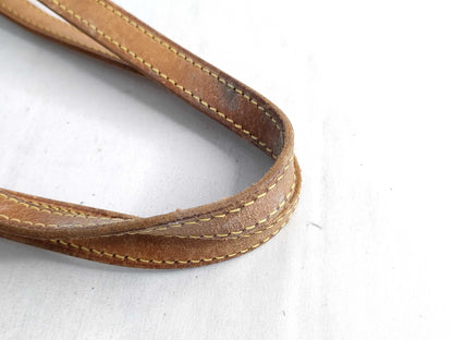 LOUIS VUITTON Monogram Louis Vuitton Bucket Tote Bag