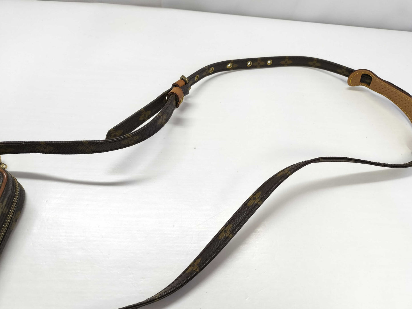 LOUIS VUITTON Monogram Mini Danube Shoulder Bag