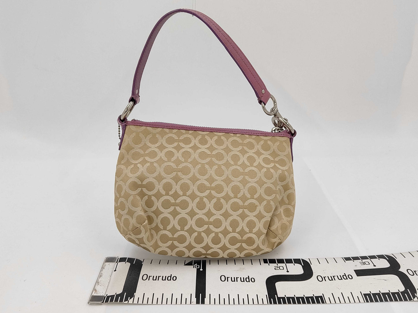 COACH Canvas Mini Signature Pouch Handbag