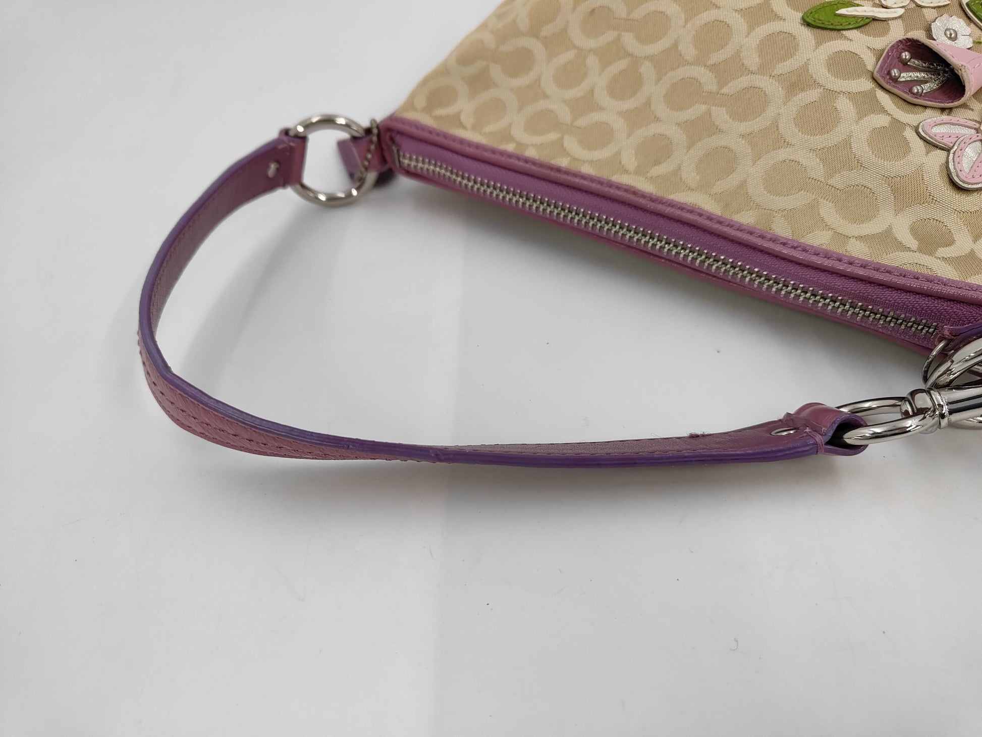 COACH Canvas Mini Signature Pouch Handbag