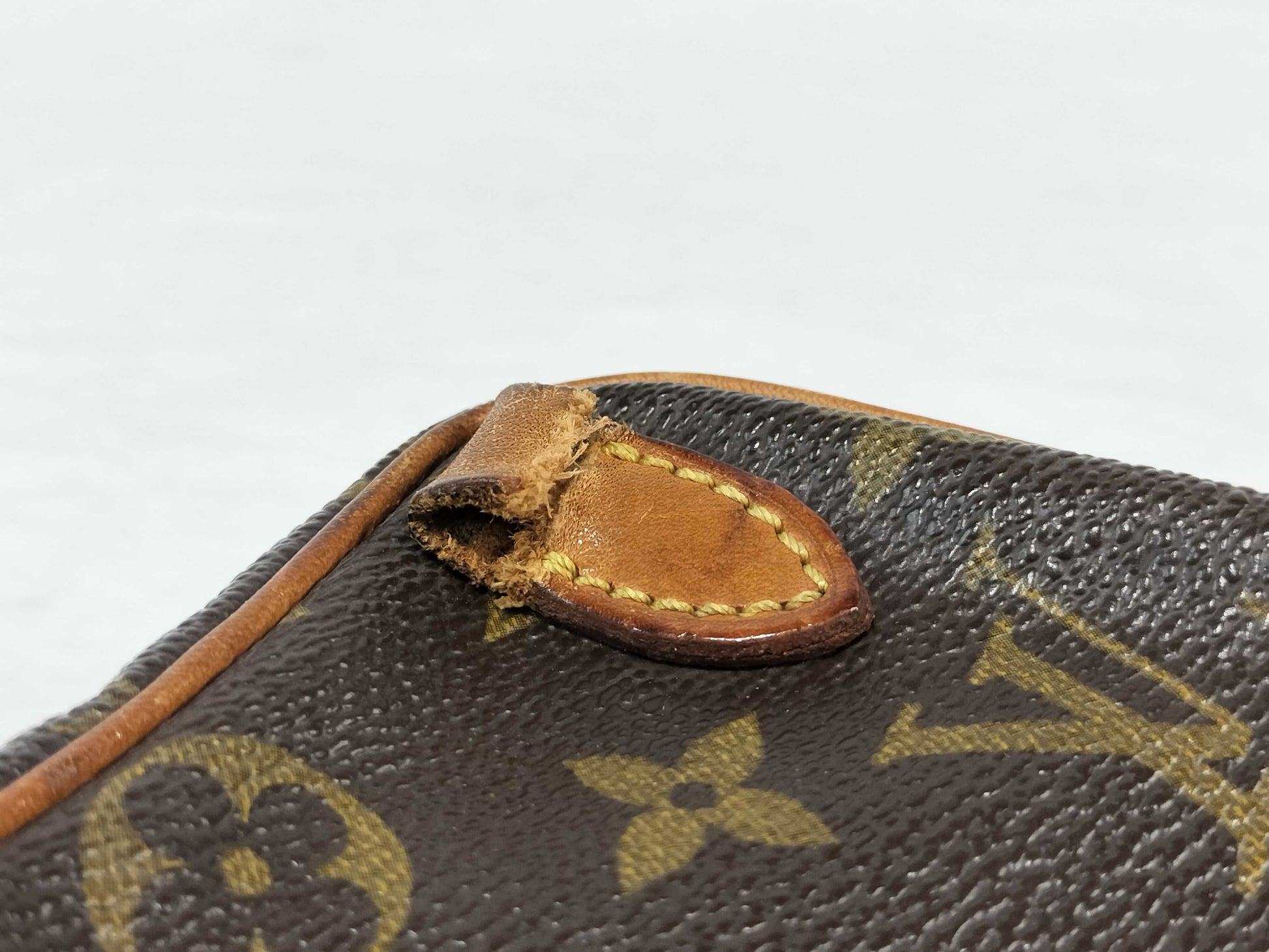 LOUIS VUITTON Monogram Mini Amazon Shoulder Bag