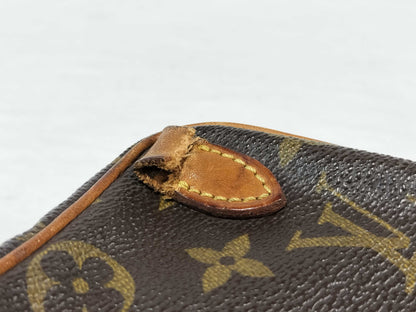 LOUIS VUITTON Monogram Mini Amazon Shoulder Bag