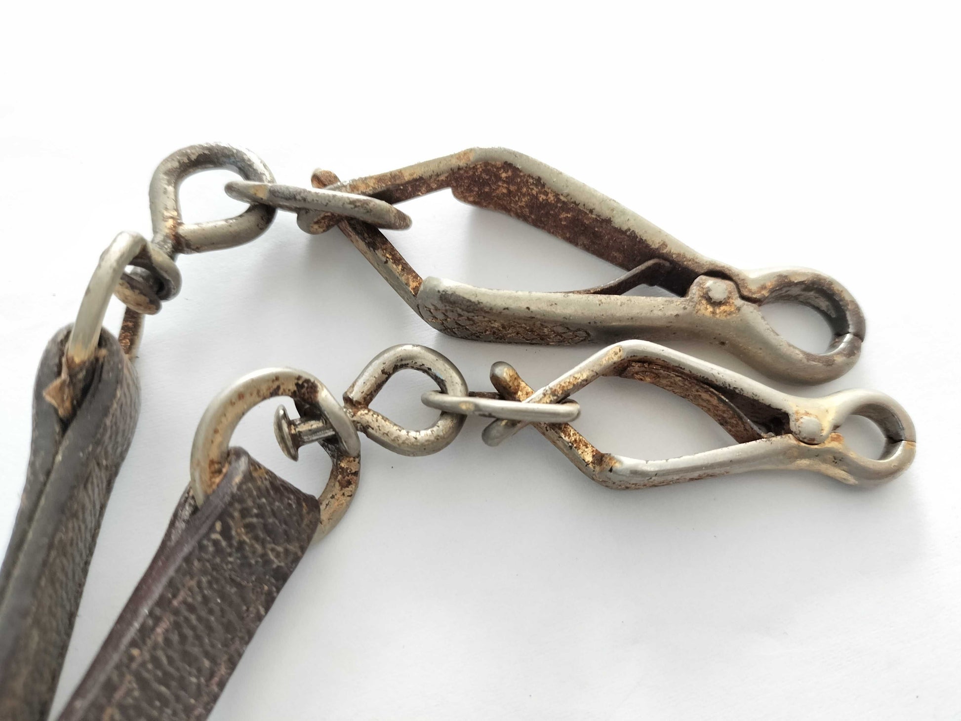 LOUIS VUITTON Monogram Louis Vuitton Monogram Wristlet Baxter Pet Lead Set of 2 Other Accessories