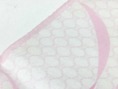 CELINE CELINE Scarf 2-Piece Set Other Accessories