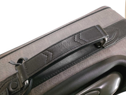 LOEWE suitcase carry bag