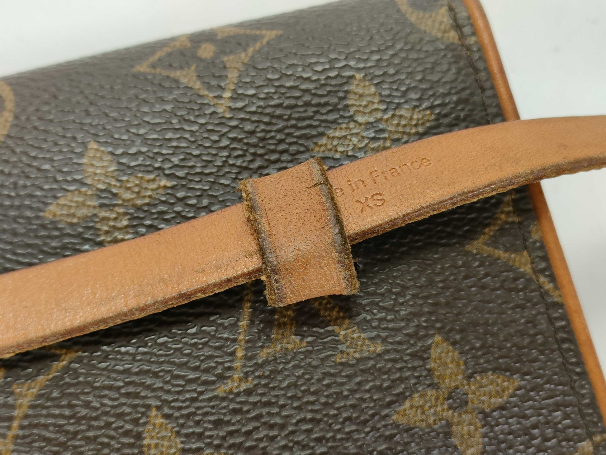 LOUIS VUITTON Monogram LV Florentine Waist Bag