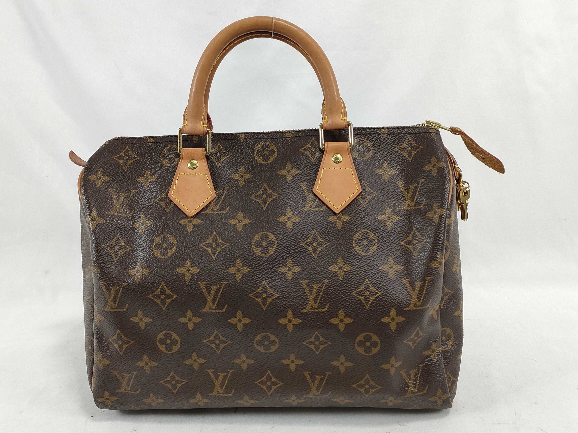 LOUIS VUITTON Monogram Louis Vuitton Speedy Tote Bag