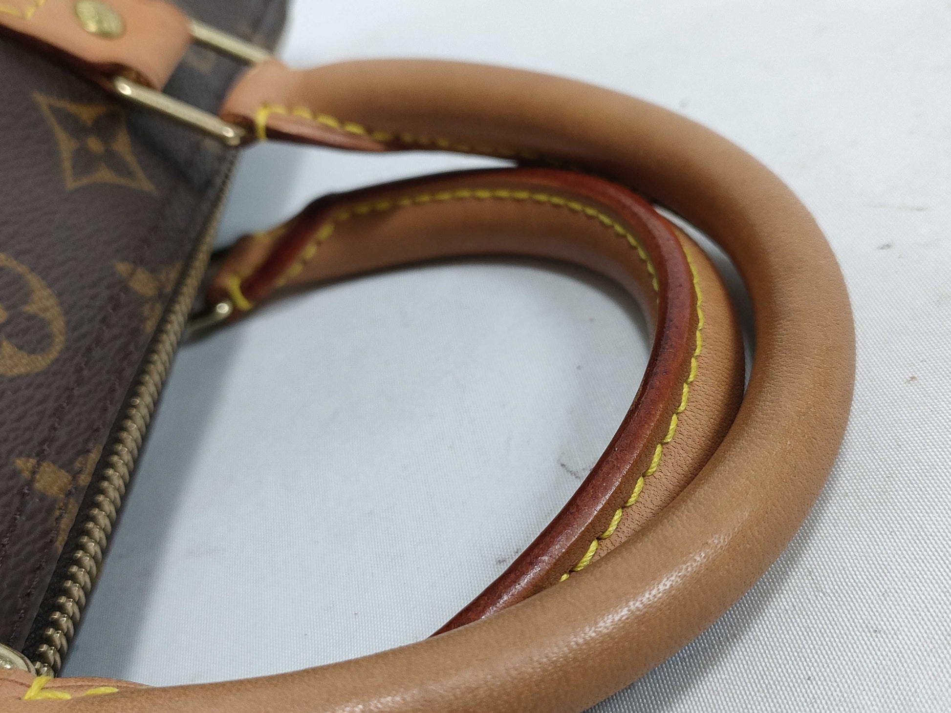 LOUIS VUITTON Monogram Louis Vuitton Speedy Tote Bag