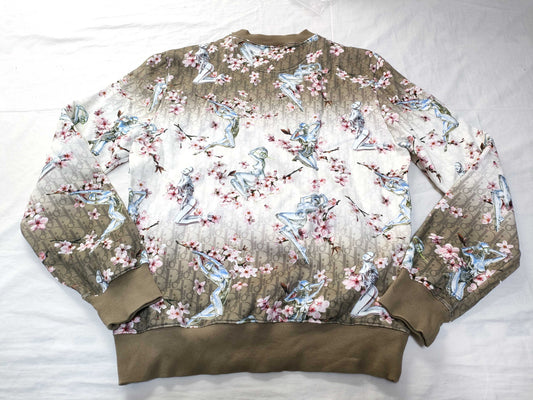 Dior Dior Hajime Sorayama collaboration oblique sweat top