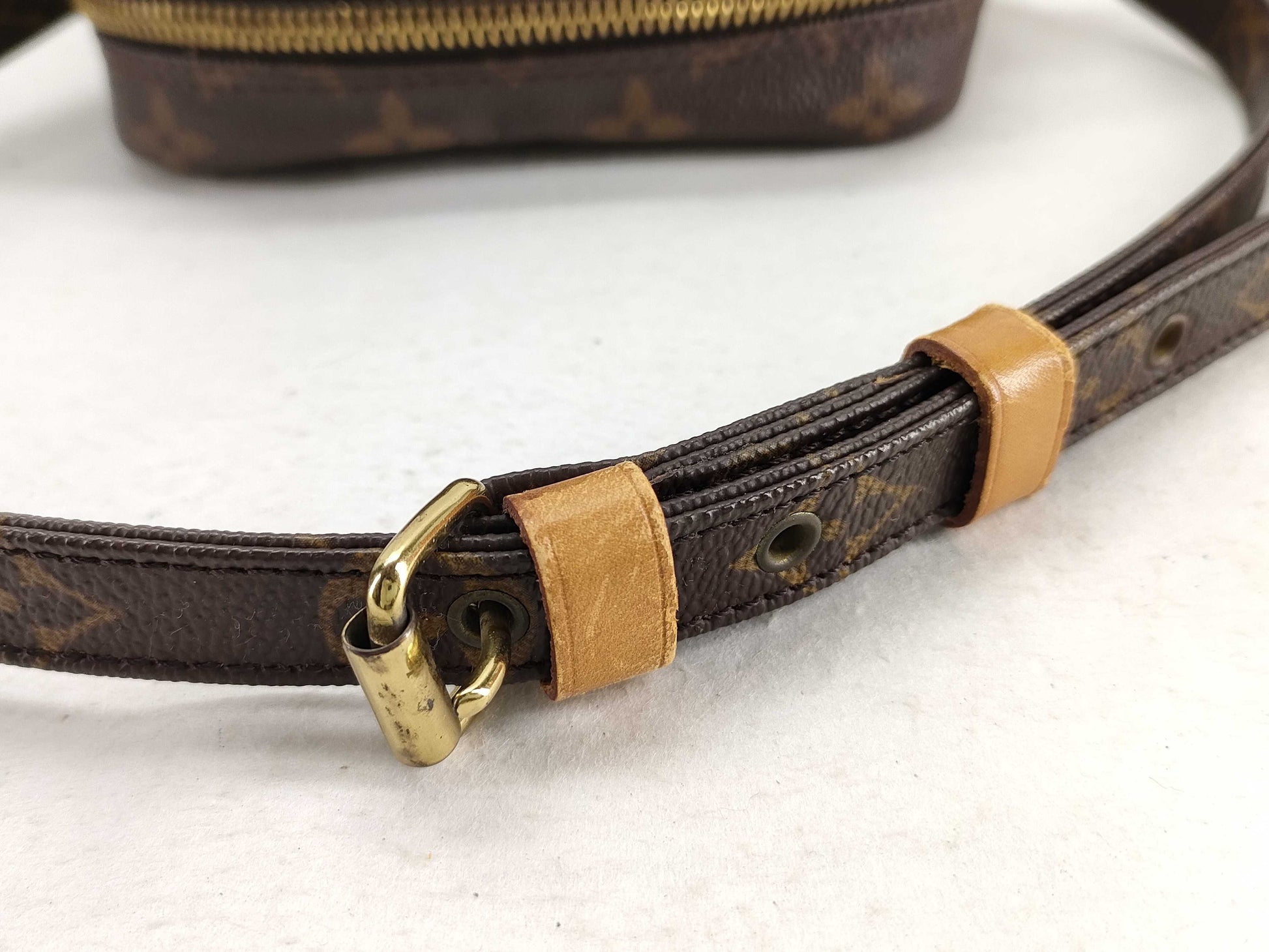 LOUIS VUITTON Monogram Amazon Monogram TH1919 Shoulder Bag