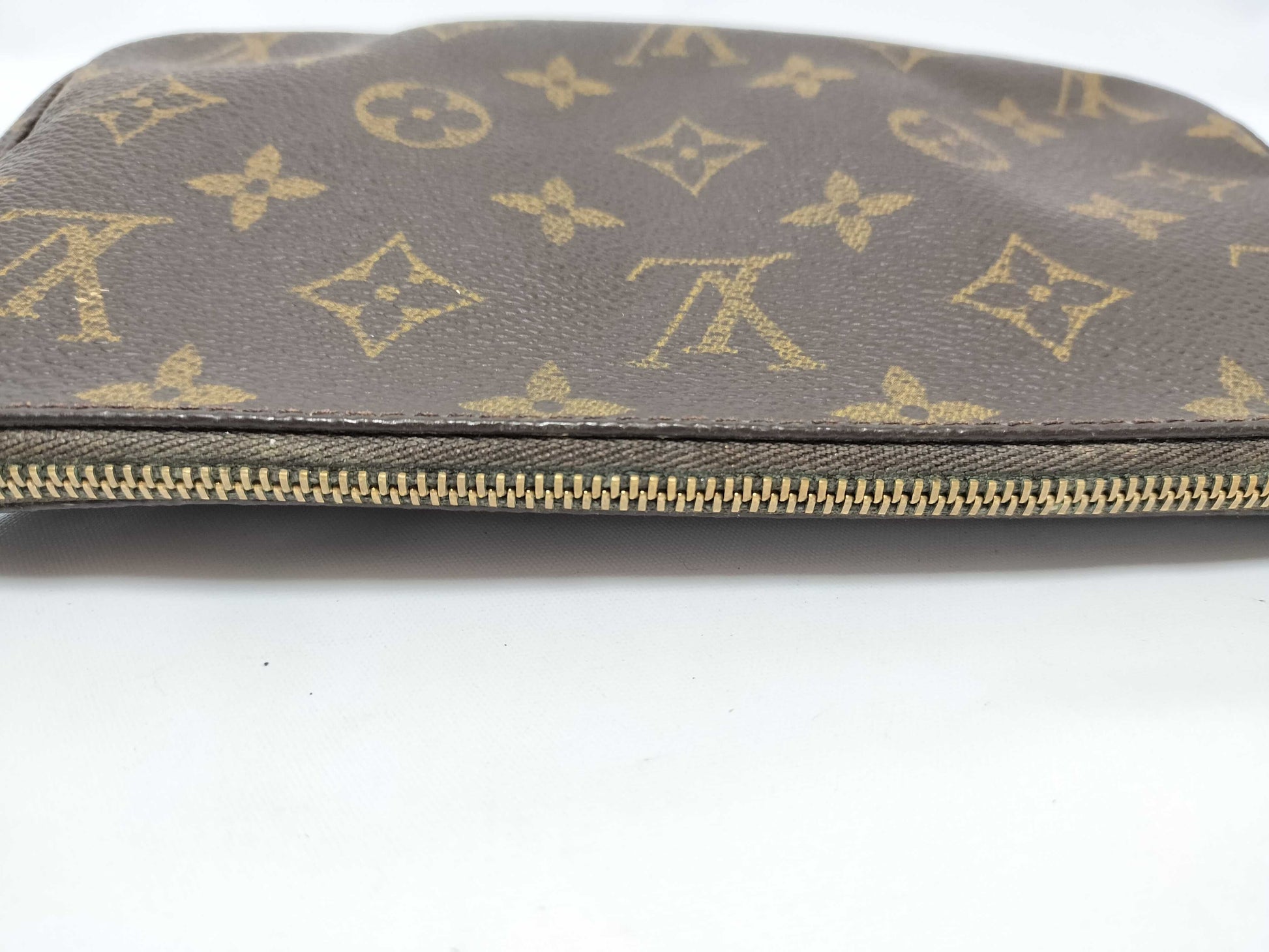 LOUIS VUITTON Monogram Accessoires Monogram SL1001 Pouch