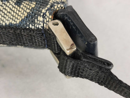 Dior Trotter Accessory Pouch Z7961 Pouch