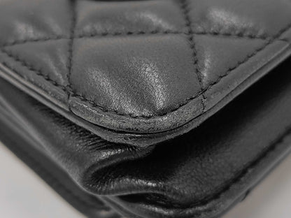 CHANEL CHANEL Chain Wallet No. 30 Shoulder Bag