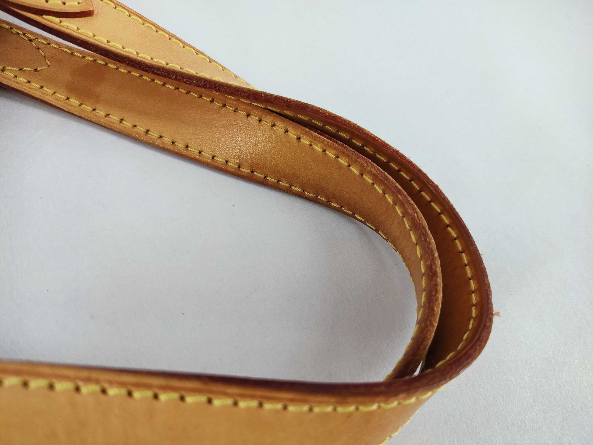 LOUIS VUITTON Monogram LV Handbag