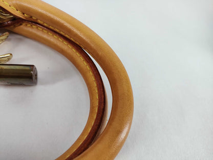 LOUIS VUITTON Monogram LV Handbag