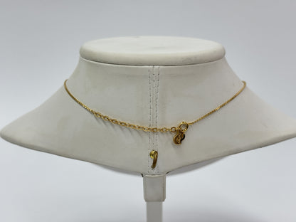 Dior Gold Necklace with 42cm Chain