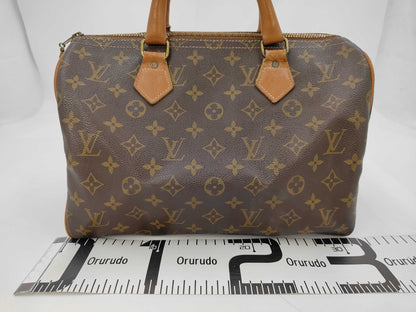 LOUIS VUITTON handbag