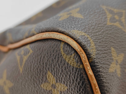 LOUIS VUITTON handbag