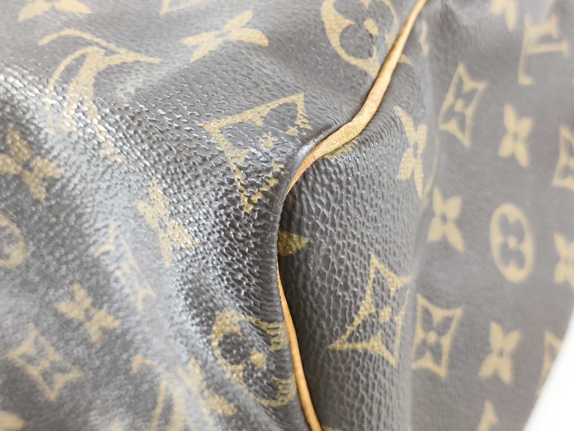 LOUIS VUITTON Monogram Speedy Boston Bag