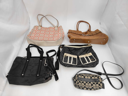 COACH 5-piece bag set
