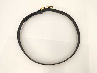 CELINE 557991 Eco Belt - Mildew and Dirty