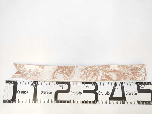 Dior Logo Mitzah Scarf