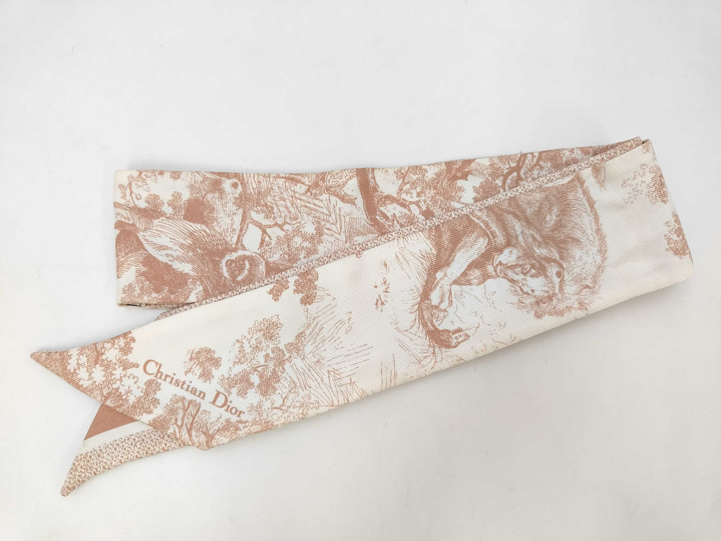 Dior Logo Mitzah Scarf