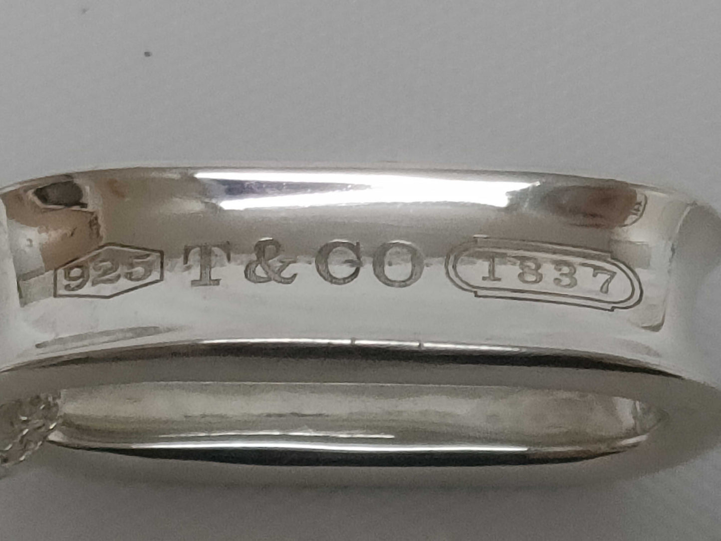 Tiffany & Co. 1837 Narrow Oval Loop 925 Silver Necklace